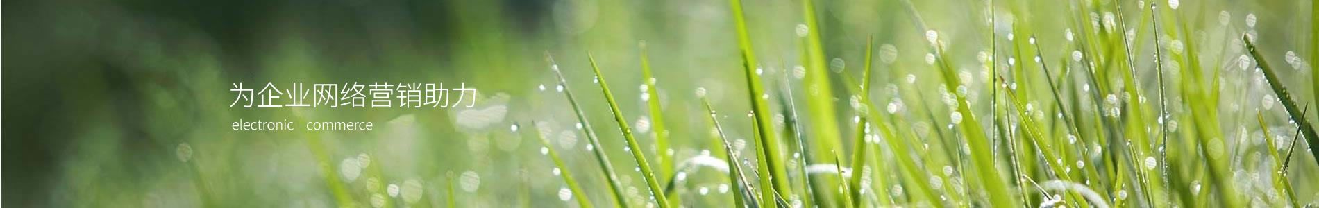 ݸյӿƼ޹˾